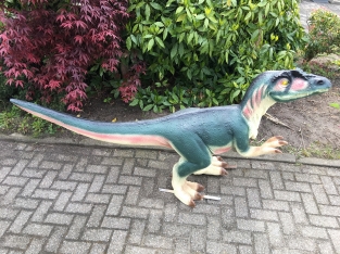 Dinosaur, beautiful large sculpture of a Tyrannosaurus